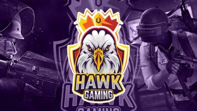 HAWKGAMING