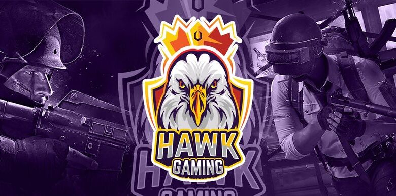 HAWKGAMING